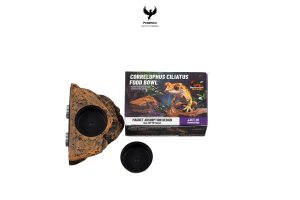 single-gecko-feed-rock-magnetic-ledge