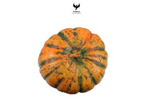 pumpkin-hide-large