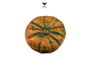 pumpkin-hide-medium