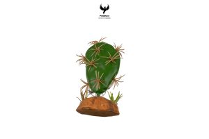 cactus-plants-xs