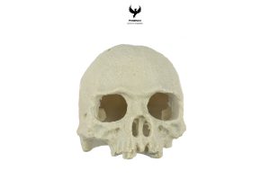 resin-skull-habitat-decor