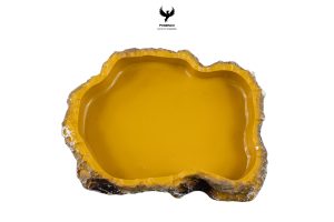 ecofeast-bowl-l