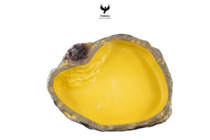 hydrohaven-bowl-l