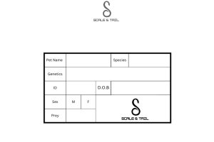 snt-pet-labels-10-piece