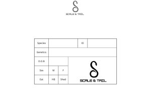 snt-hobbyists-labels-10-piece